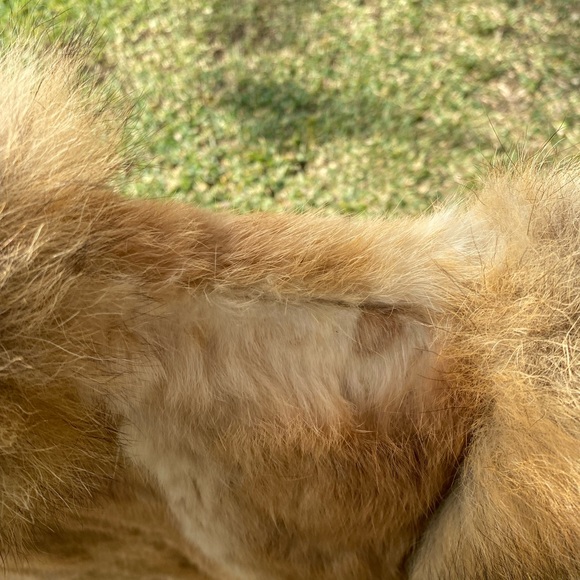 Vintage Size Large Rabbit Vest - Picture 4 of 6